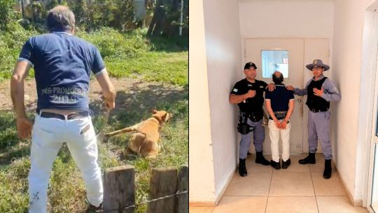 un-hombre-de-76-anos-golpeo-brutalmente-a-una-perra:-el-video-se-viralizo-y-termino-detenido