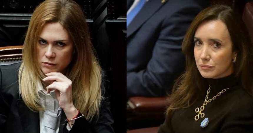 villarruel-volvio-a-cruzarse-con-lilia-lemoine-y-apunto-directamente-contra-milei:-“parece-contagioso-el-delirio”