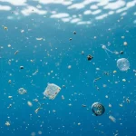 las-algas-podrian-estar-acelerando-la-degradacion-del-plastico-en-rios-y-lagos