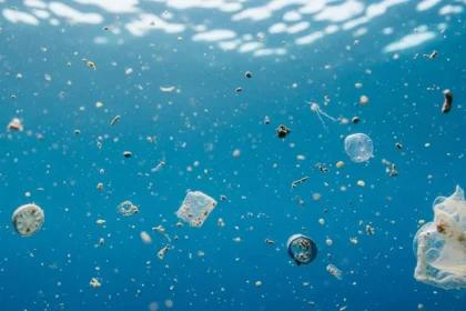 las-algas-podrian-estar-acelerando-la-degradacion-del-plastico-en-rios-y-lagos