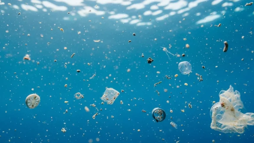 las-algas-podrian-estar-acelerando-la-degradacion-del-plastico-en-rios-y-lagos