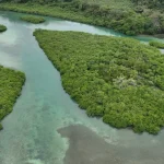 alerta-ambiental-por-el-deterioro-de-los-humedales-en-panama-tras-el-avance-del-desarrollo