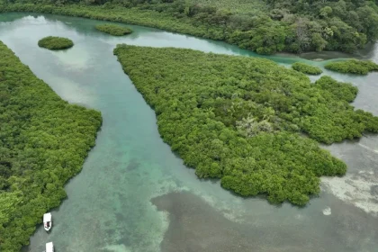 alerta-ambiental-por-el-deterioro-de-los-humedales-en-panama-tras-el-avance-del-desarrollo