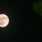 luna-llena-del-ciervo:-el-motivo-ancestral-tras-la-denominacion-del-fenomeno-astronomico-de-julio
