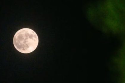 luna-llena-del-ciervo:-el-motivo-ancestral-tras-la-denominacion-del-fenomeno-astronomico-de-julio