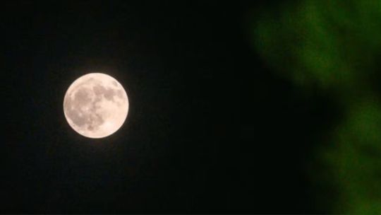 luna-llena-del-ciervo:-el-motivo-ancestral-tras-la-denominacion-del-fenomeno-astronomico-de-julio