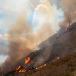 investigan-si-fue-intencional-el-incendio-forestal-que-avanza-sobre-la-rioja