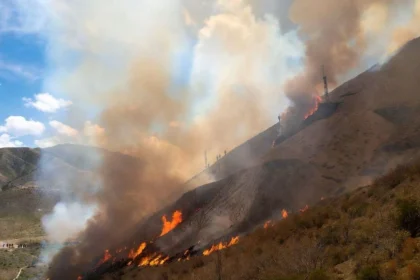 investigan-si-fue-intencional-el-incendio-forestal-que-avanza-sobre-la-rioja