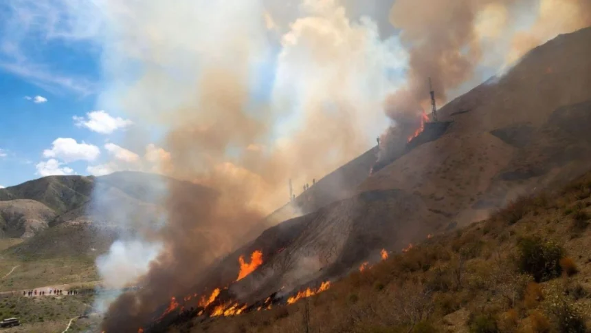investigan-si-fue-intencional-el-incendio-forestal-que-avanza-sobre-la-rioja