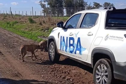 el-inba,-los-ataques-de-perros-y-cientos-de-denuncias-en-el-interior-atendidas-por-solo-tres-funcionarios