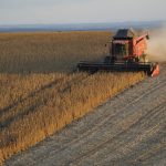 farmers-slow-soy-sales,-but-it’s-actually-good-news-for-the-economy