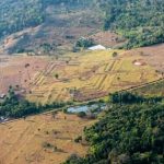 la-civilizacion-perdida-del-amazonas-que-sorprende-a-la-ciencia:-hallan-una-red-de-20-mil-estructuras-oculta-bajo-la-selva