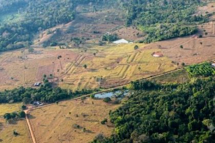 la-civilizacion-perdida-del-amazonas-que-sorprende-a-la-ciencia:-hallan-una-red-de-20-mil-estructuras-oculta-bajo-la-selva