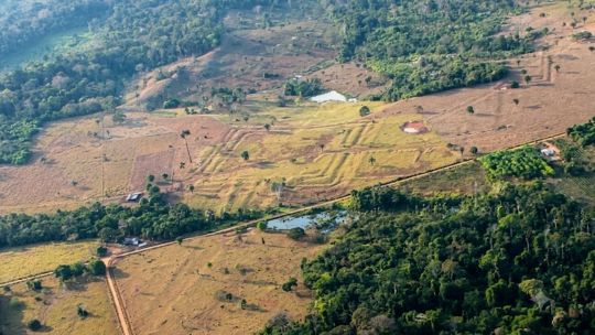 la-civilizacion-perdida-del-amazonas-que-sorprende-a-la-ciencia:-hallan-una-red-de-20-mil-estructuras-oculta-bajo-la-selva