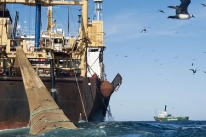 milla-201:-el-limite-invisible-donde-la-pesca-se-convierte-en-depredacion-ambiental