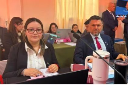 “no-tienen-plata-para-estar”:-el-fiscal-schaefer-explico-la-ausencia-de-los-padres-de-loan-en-el-juicio