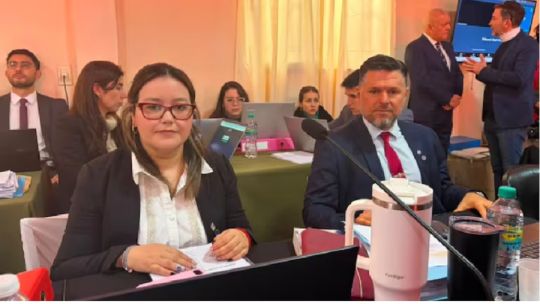 “no-tienen-plata-para-estar”:-el-fiscal-schaefer-explico-la-ausencia-de-los-padres-de-loan-en-el-juicio