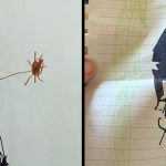 escandalo-en-cordoba:-los-dibujos-de-los-chicos-que-son-prueba-contra-el-cura-alejandro-nicola