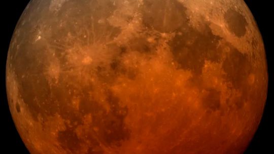 “luna-de-sangre”-en-argentina:-cuando-y-como-ver-el-eclipse-lunar-de-agosto