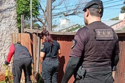 resguardaron-una-yarara-crucera-que-aparecio-en-una-vivienda-de-posadas