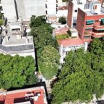 el-bosque-oculto-del-barrio-de-almagro-que-los-vecinos-quieren-salvar-antes-de-que-sea-tarde