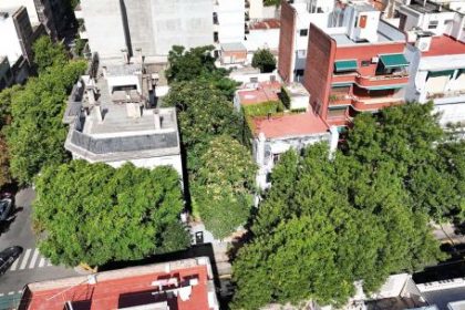 el-bosque-oculto-del-barrio-de-almagro-que-los-vecinos-quieren-salvar-antes-de-que-sea-tarde