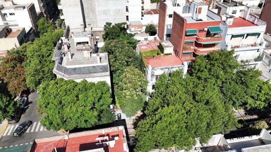 el-bosque-oculto-del-barrio-de-almagro-que-los-vecinos-quieren-salvar-antes-de-que-sea-tarde