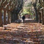 clima-en-ciudad-de-buenos-aires:-las-lluvias-se-despiden-tras-el-temporal-y-baja-la-temperatura