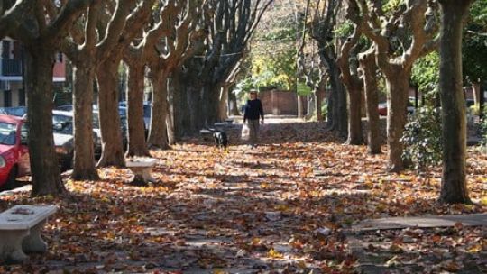 clima-en-ciudad-de-buenos-aires:-las-lluvias-se-despiden-tras-el-temporal-y-baja-la-temperatura