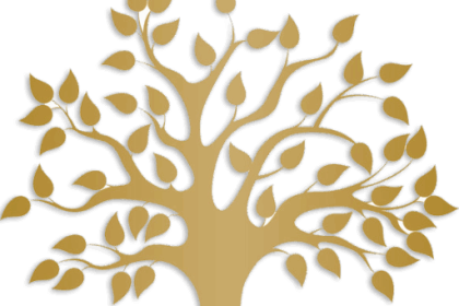 cada-semana-cae-una-enorme-cantidad-de-basura-espacial-a-la-tierra,-pero-quien-debe-responder-por-los-danos?