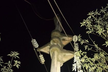 andresito-recupero-el-servicio-electrico-tras-la-caida-de-un-arbol-sobre-una-linea-de-33-kv