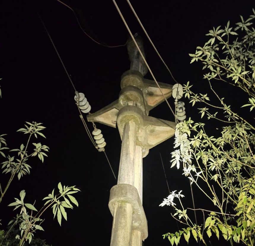 andresito-recupero-el-servicio-electrico-tras-la-caida-de-un-arbol-sobre-una-linea-de-33-kv