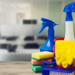 la-union-europea-fija-fecha-limite-para-prohibir-los-microplasticos-en-desinfectantes-e-insecticidas