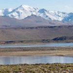 el-conicet-advierte-sobre-estas-tres-grandes-amenazas-para-los-bosques-patagonicos