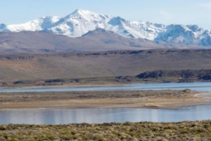 el-conicet-advierte-sobre-estas-tres-grandes-amenazas-para-los-bosques-patagonicos