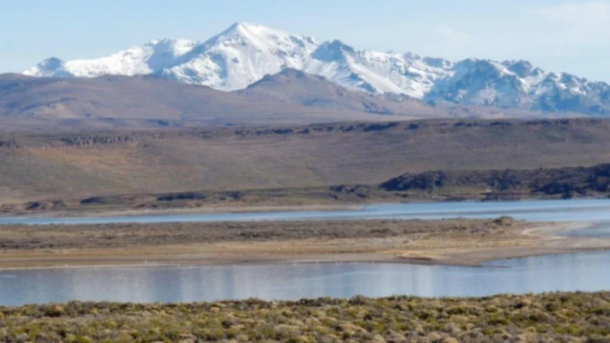 el-conicet-advierte-sobre-estas-tres-grandes-amenazas-para-los-bosques-patagonicos