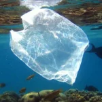 desarrollan-un-plastico-vivo-que-se-autodestruye-en-seis-dias-sin-generar-microplasticos
