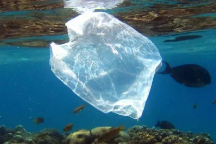 desarrollan-un-plastico-vivo-que-se-autodestruye-en-seis-dias-sin-generar-microplasticos