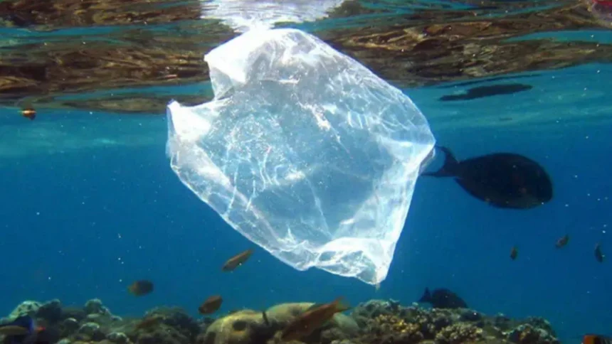 desarrollan-un-plastico-vivo-que-se-autodestruye-en-seis-dias-sin-generar-microplasticos
