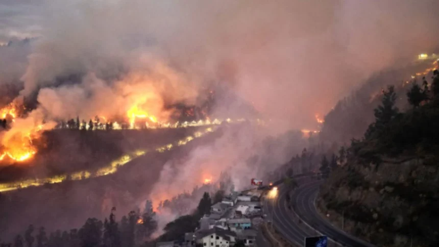 advierten-que-el-humo-de-los-incendios-causa-mas-dano-pulmonar-que-el-smog-urbano