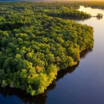 denuncian-que-la-mineria-ilegal-en-la-amazonia-amenaza-a-pueblos-indigenas