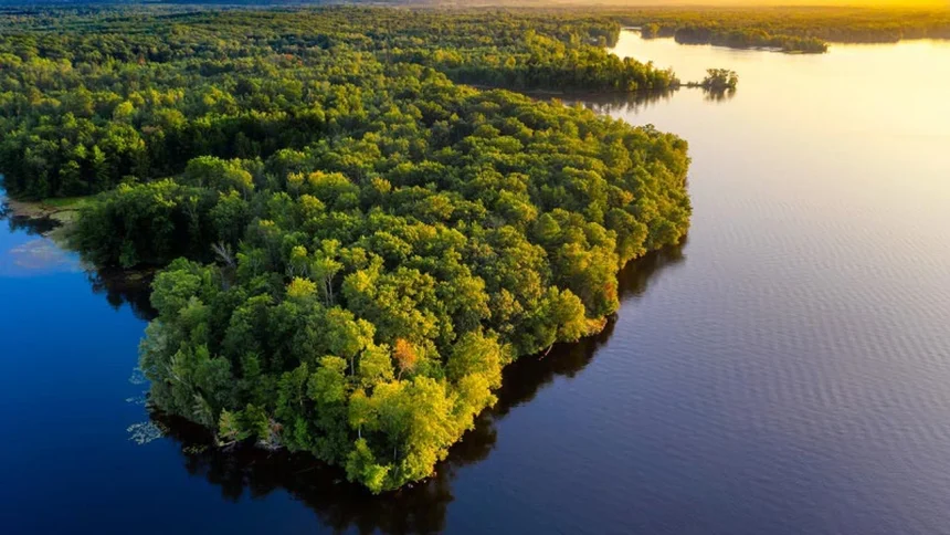 denuncian-que-la-mineria-ilegal-en-la-amazonia-amenaza-a-pueblos-indigenas