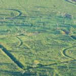la-selva-amazonica-nunca-fue-virgen:-una-antigua-civilizacion-la-habito-durante-1.500-anos