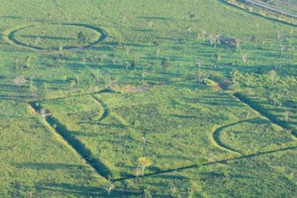 la-selva-amazonica-nunca-fue-virgen:-una-antigua-civilizacion-la-habito-durante-1.500-anos