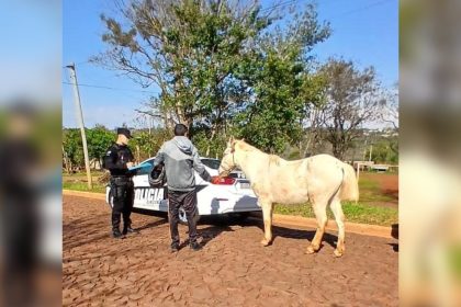 policias-de-obera-recuperaron-un-caballo-robado-durante-un-patrullaje-preventivo