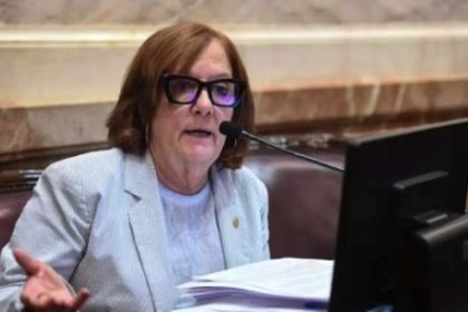 la-senadora-vigo-anticipo-que-votara-en-contra-de-la-ley-de-tierras:-“ningun-pais-serio-cede-su-territorio-productivo-sin-restriccion”