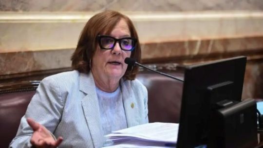 la-senadora-vigo-anticipo-que-votara-en-contra-de-la-ley-de-tierras:-“ningun-pais-serio-cede-su-territorio-productivo-sin-restriccion”