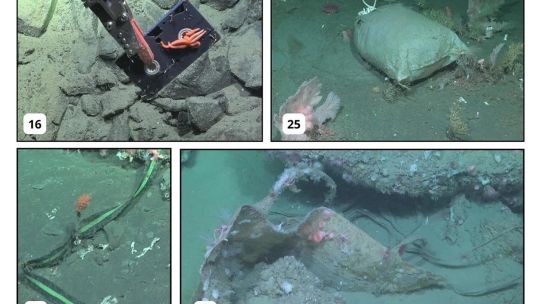 un-estudio-cientifico-documento-por-primera-vez-como-es-la-basura-que-“tiramos”-en-las-profundidades-del-mar