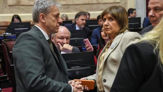 inviolabilidad-de-la-propiedad-privada:-vischi-adelanto-que-el-radicalismo-votara-a-favor-de-la-ley
