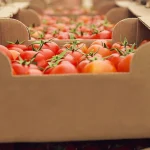 el-gobierno-facilita-la-importacion-de-alimentos-y-avanza-con-la-desregulacion-alimentaria